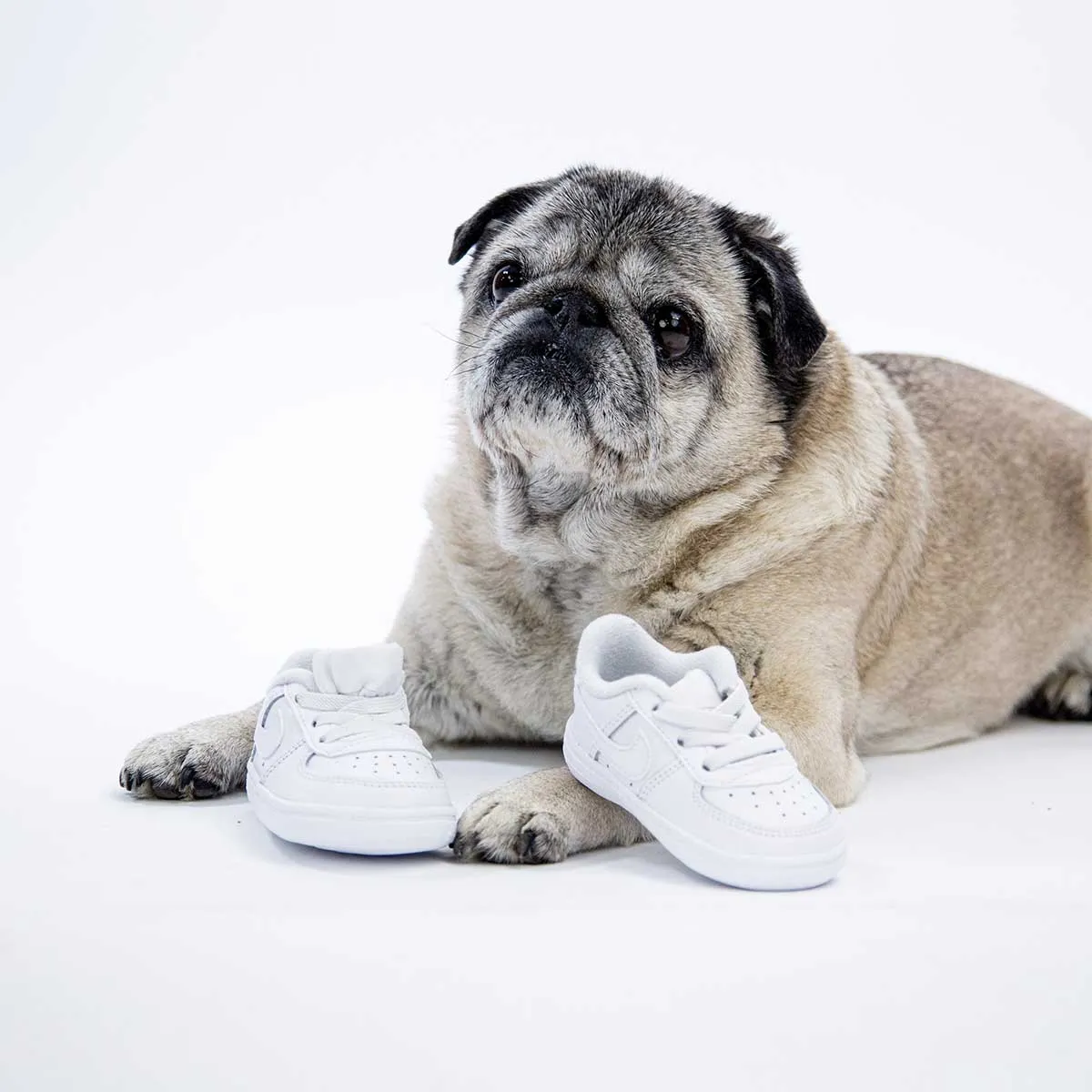 Nike Nike Force 1 Crib Baby CK2201-100 - weiss-weiss